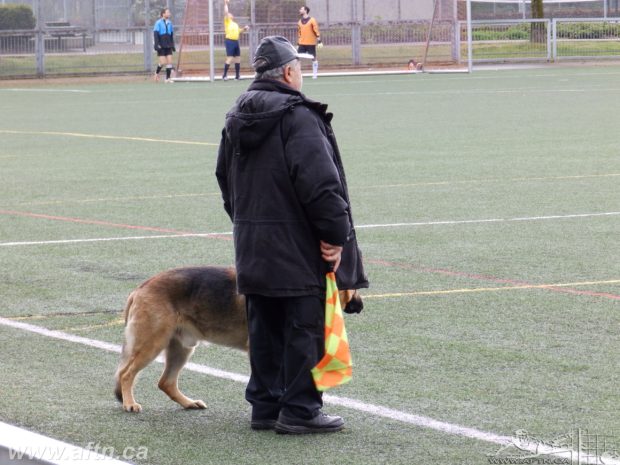 Dogs At The Football: BC Provincial Cup Dogs 2016